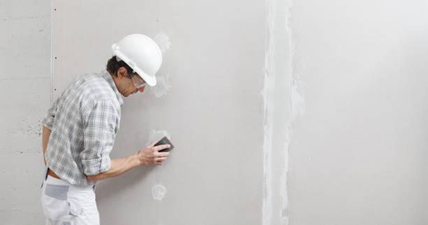  Columbus, MN Drywall & Painting Services Pros